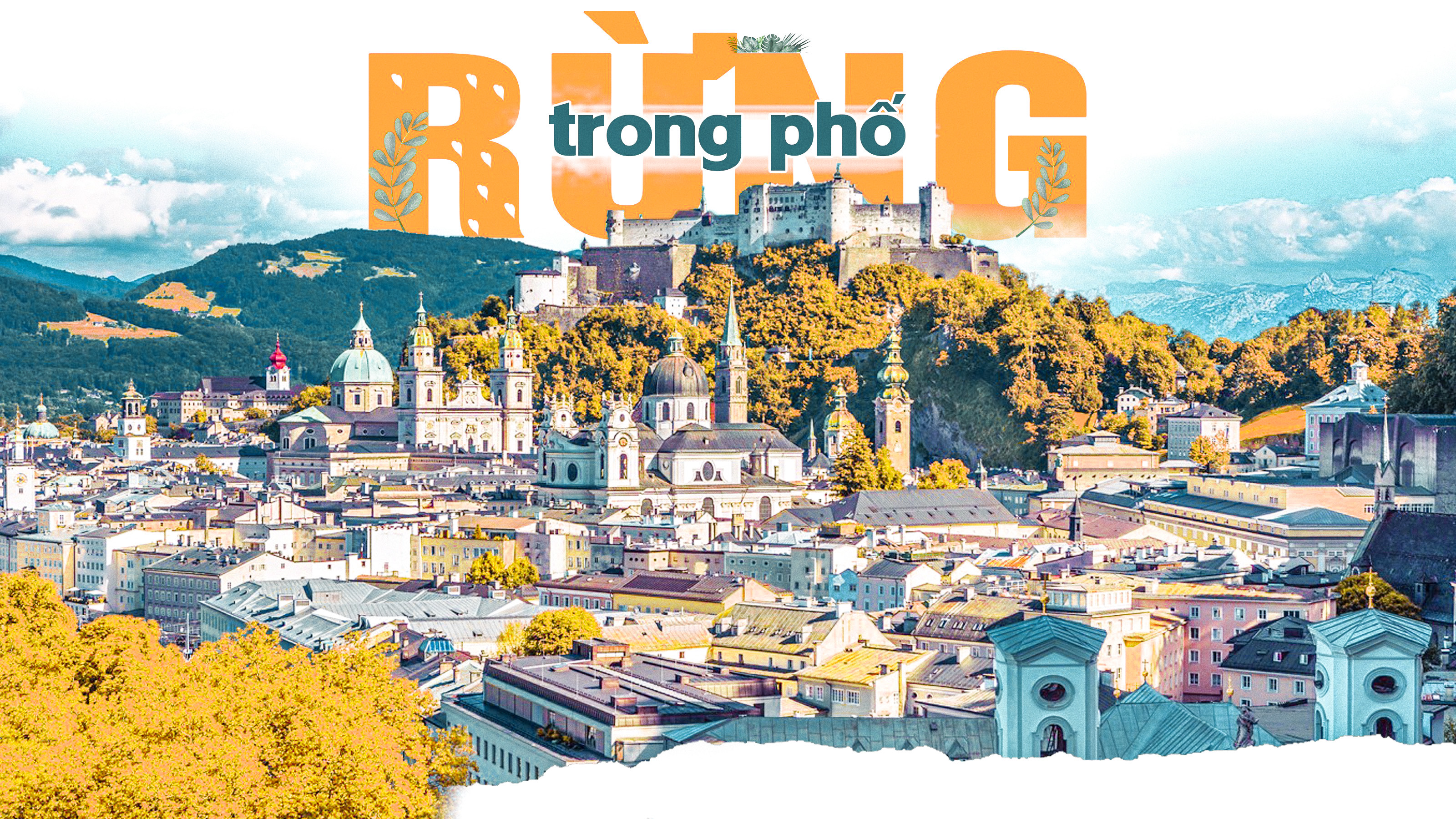 Rừng trong phố