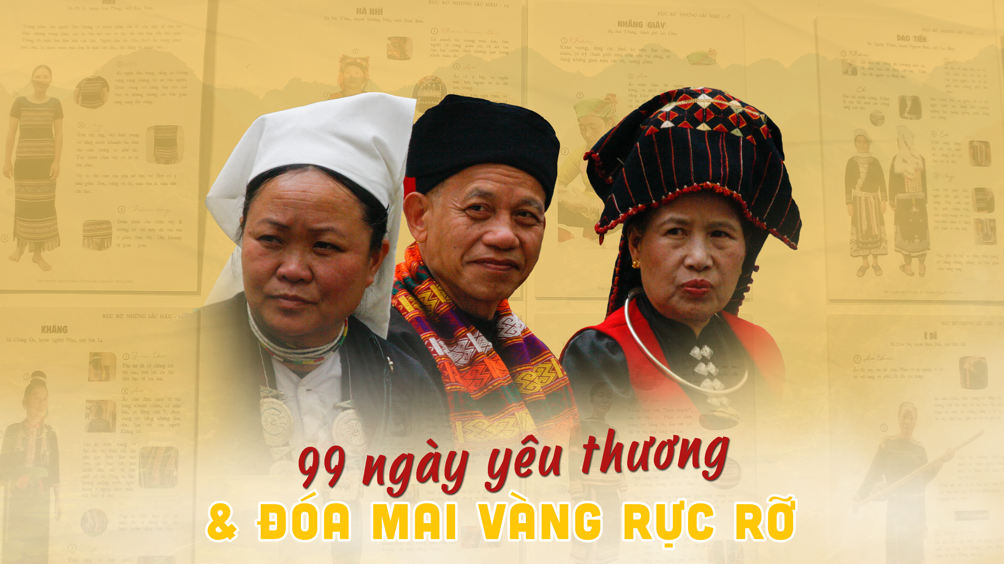 99 ngày yêu thương & đóa mai vàng rực rỡ