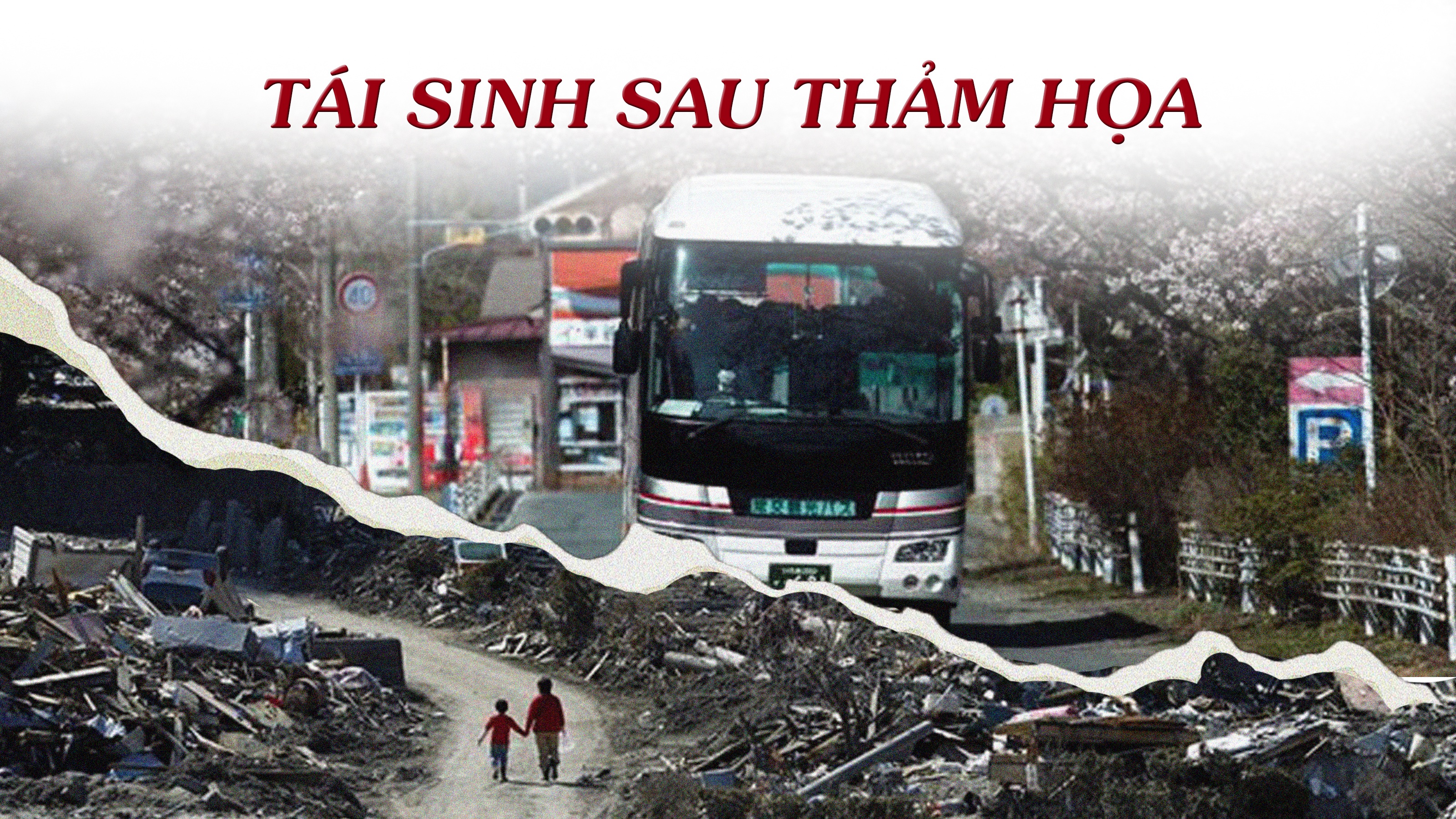 Tái sinh sau thảm họa