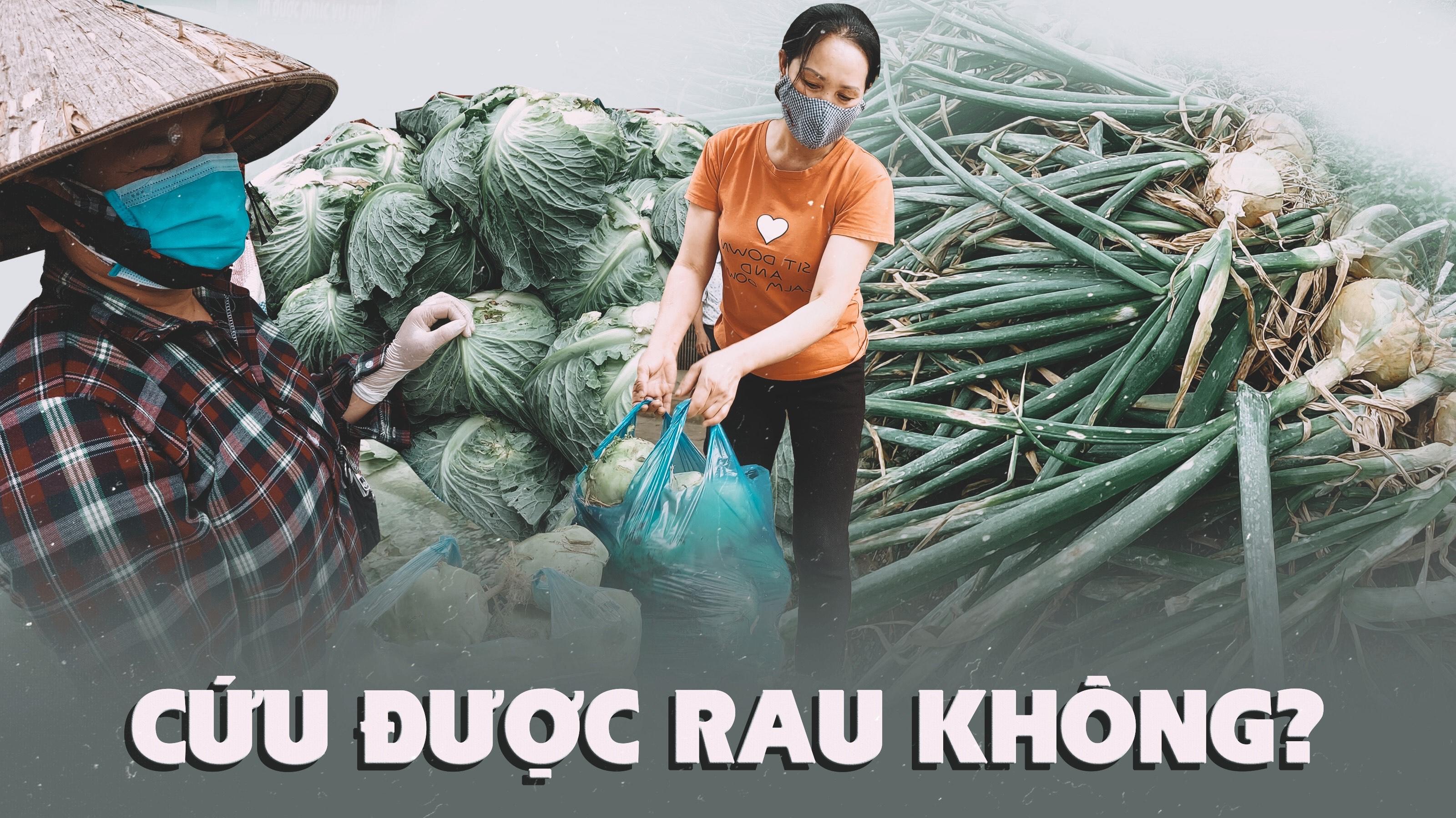 Cứu được rau không?