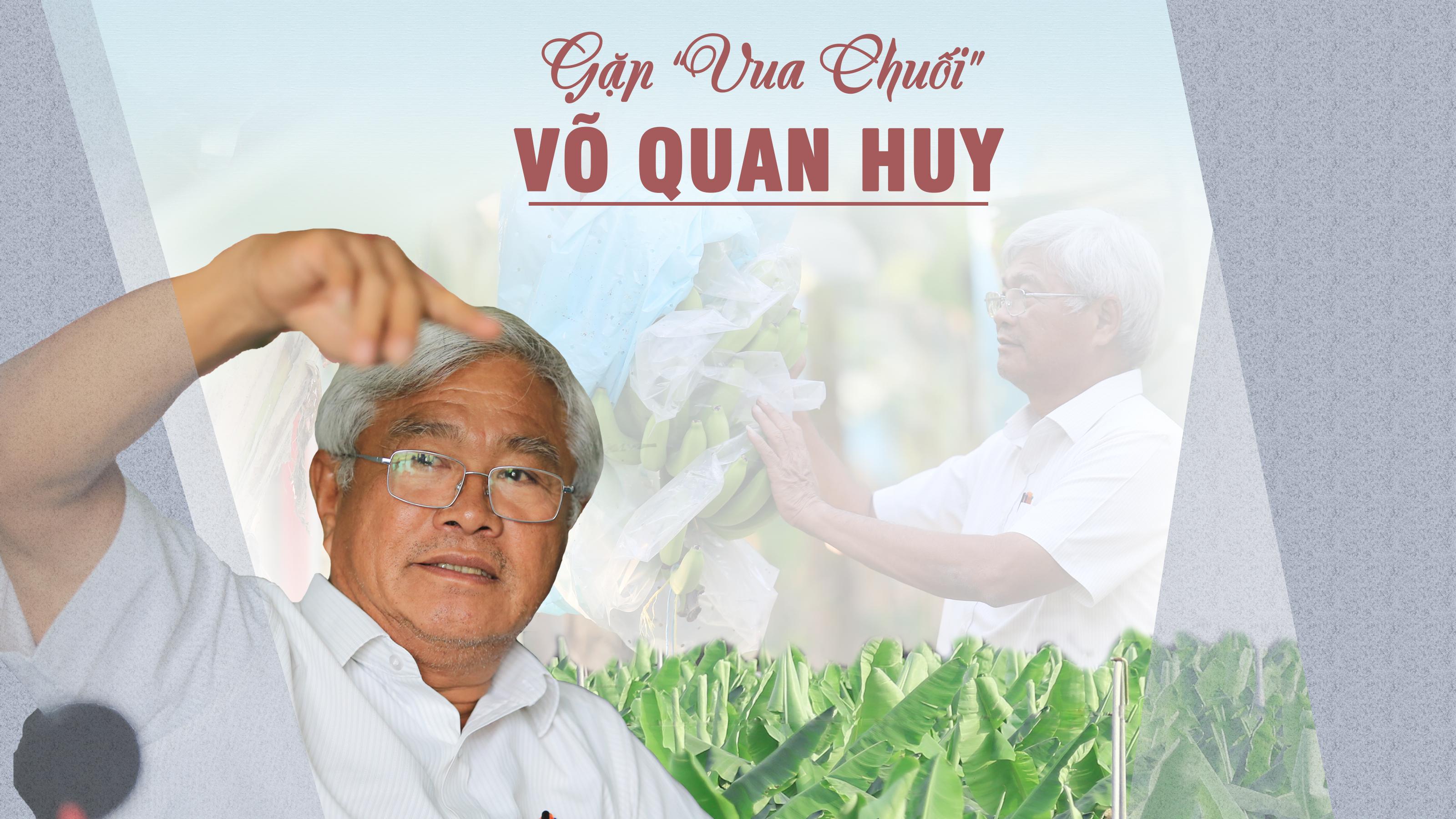 Gặp “Vua Chuối” Võ Quan Huy