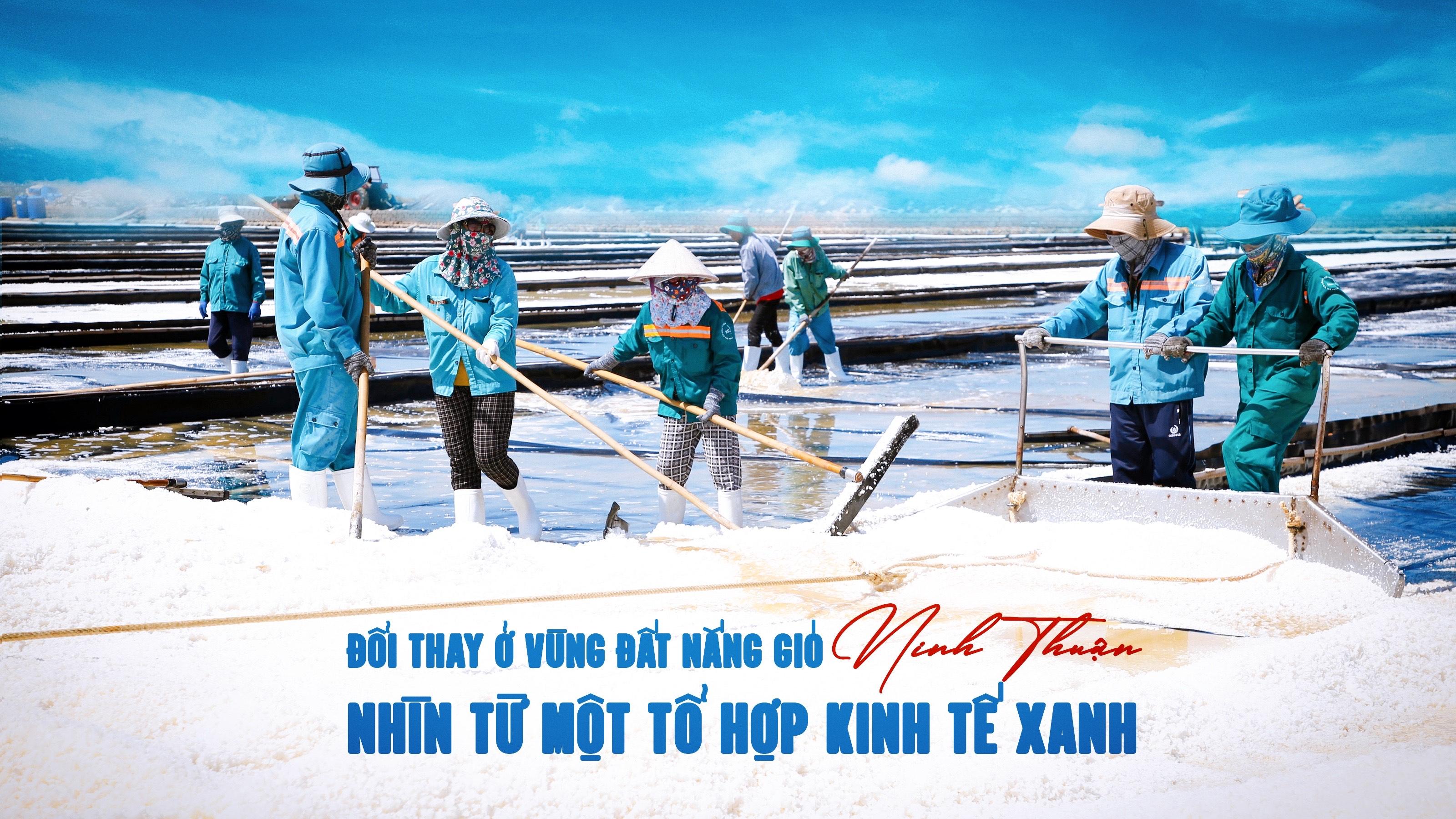 Đổi thay ở vùng đất nắng gió Ninh Thuận nhìn từ một Tổ hợp Kinh tế Xanh