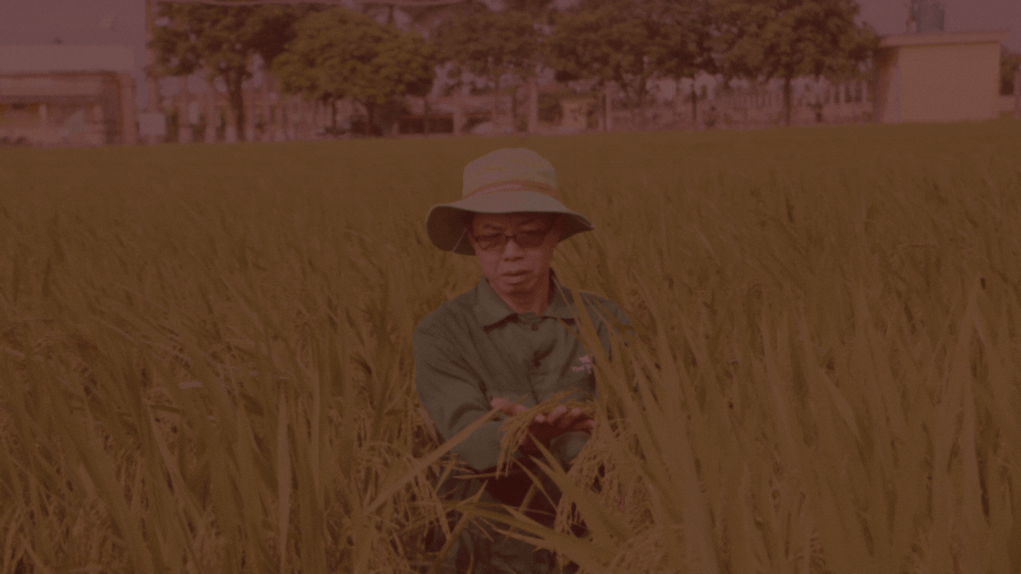 Anh hùng Lao động Trần Mạnh Báo: Tôi là người mạo hiểm 'phá rào' ảnh 7