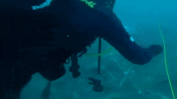 Tìm thấy mảnh vỡ của chiếc máy bay rơi ở Indonesia