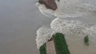 Cho nổ đê để xả lũ ở hạ du sông Trường Giang