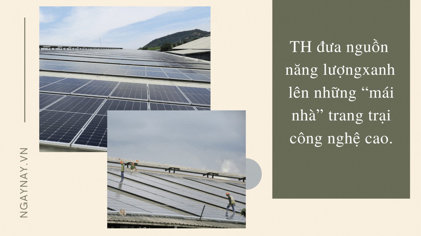 Phát triển bền vững, TH sản xuất điện từ mặt trời và bã mía ảnh 3