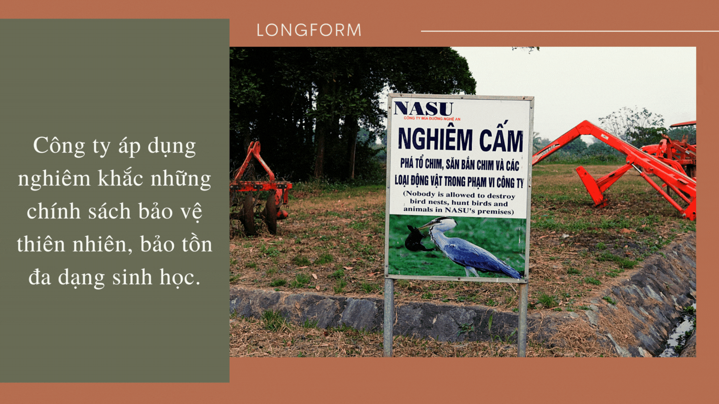 Phát triển bền vững, TH sản xuất điện từ mặt trời và bã mía ảnh 8