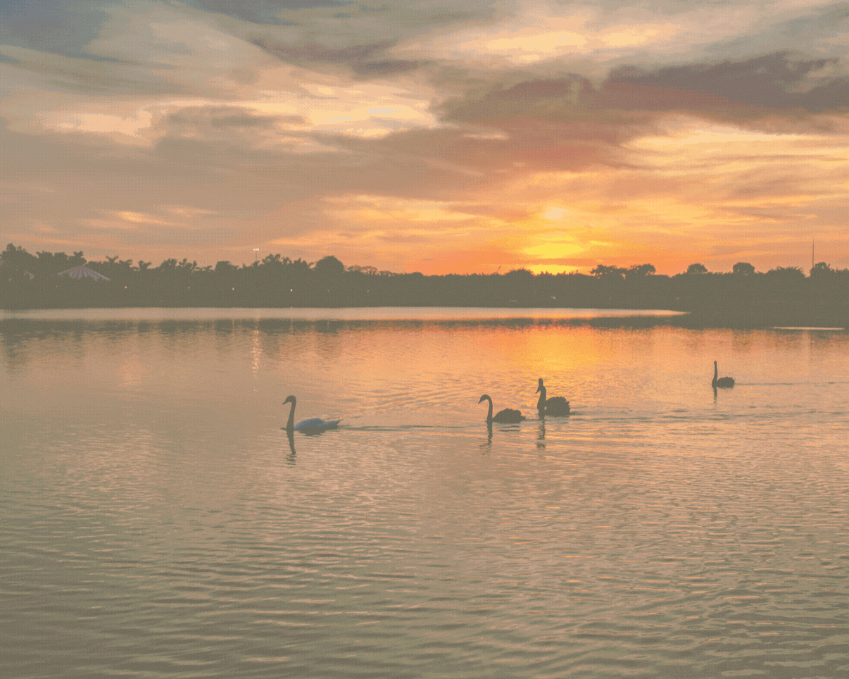 Ecopark, miền sống an nhiên, hồn hậu ảnh 15