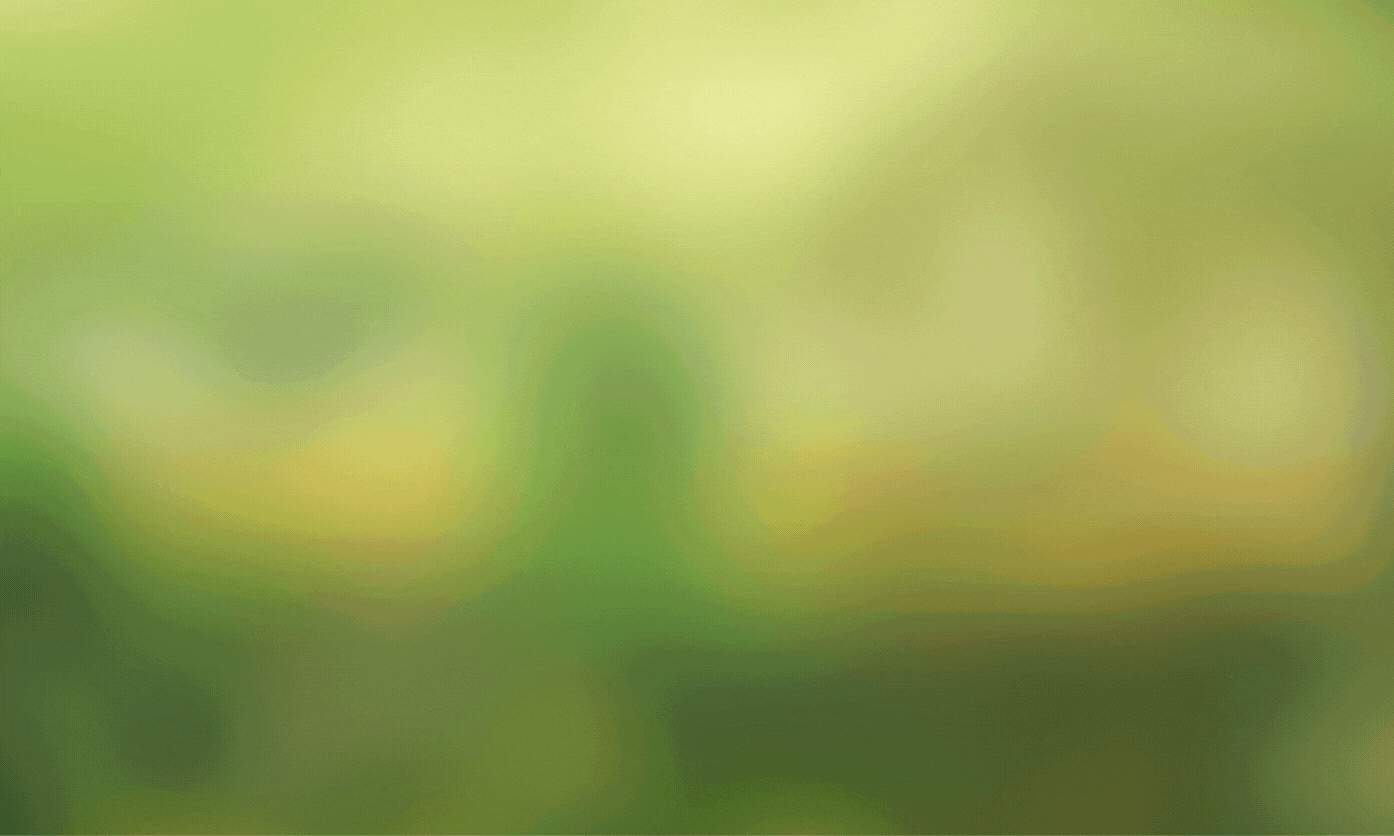 Diện mạo nào cho hội họa Việt Nam? ảnh 13