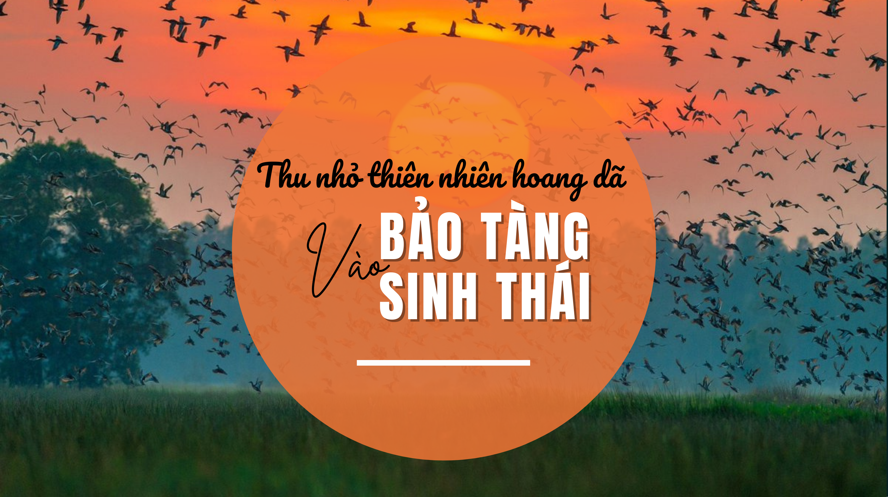 Thu nhỏ thiên nhiên hoang dã vào bảo tàng sinh thái