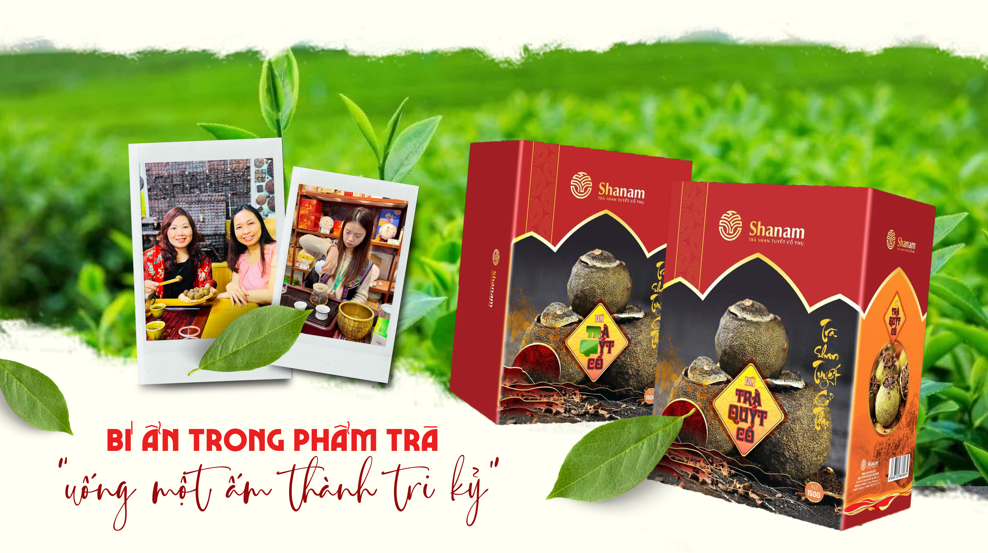 Bí ẩn trong phẩm trà “uống một ấm thành tri kỷ”