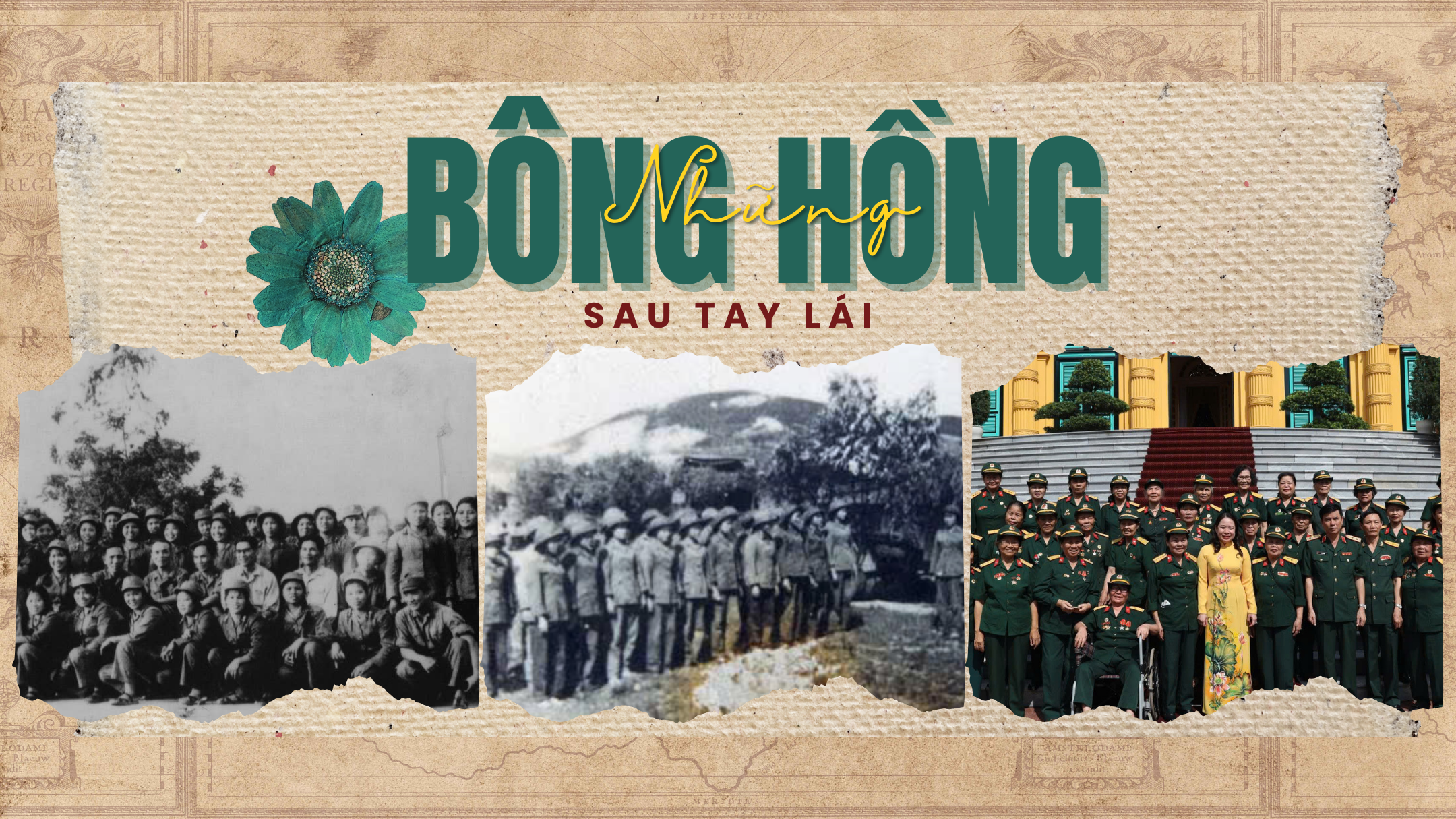 Những bông hồng sau tay lái