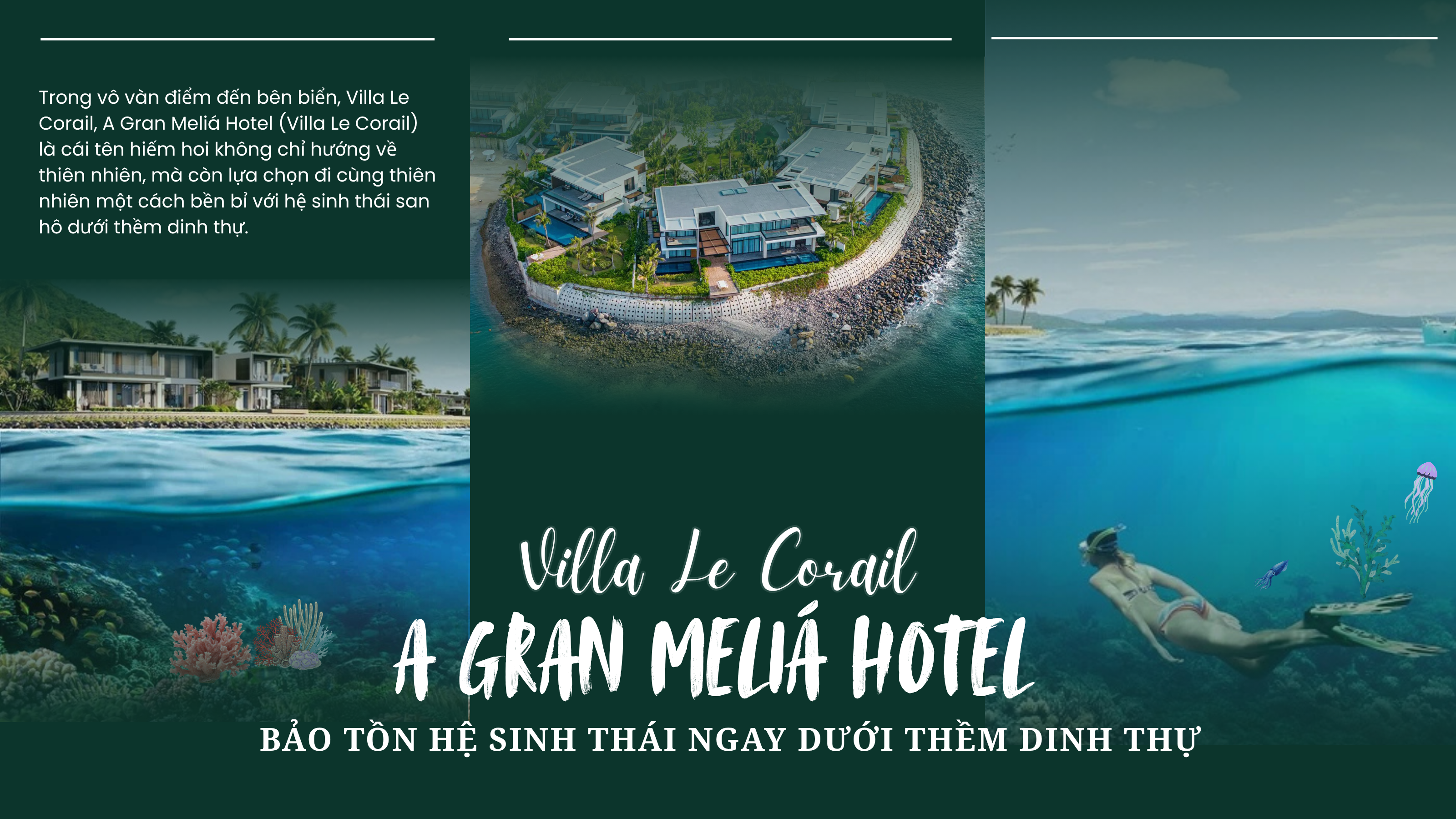 Cùng Villa Le Corail, A Gran Meliá Hotel bảo tồn hệ sinh thái ngay dưới thềm dinh thự