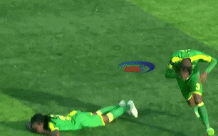 Cầu thủ và trọng tài chạy khỏi sân vì bị ong đốt