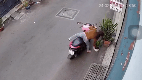 Nữ tài xế ngã nhào khi trộm chậu hoa ven đường