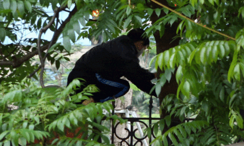 Vượt rào vào công viên tập thể dục