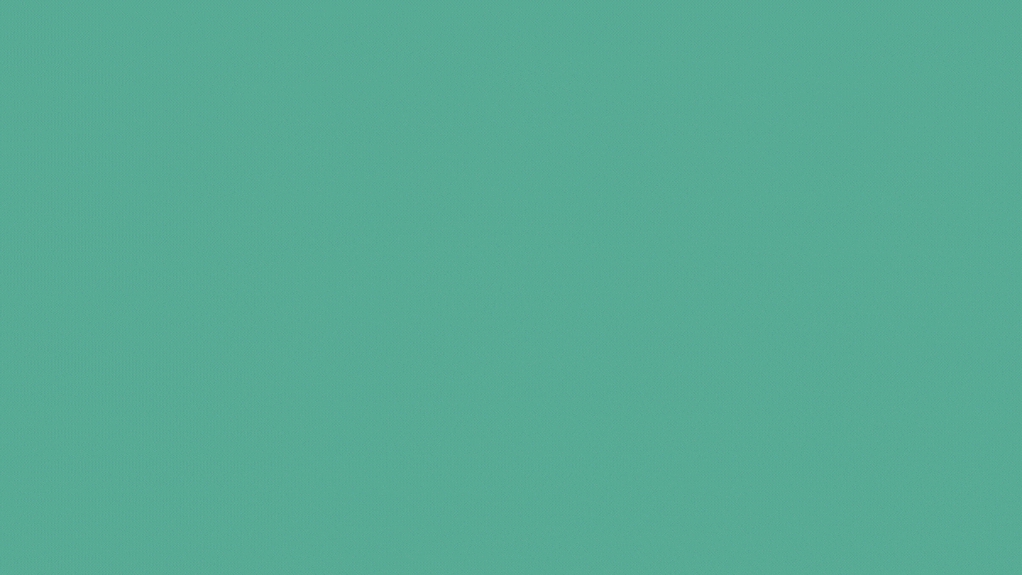 Bạch trà Mây ảnh 6