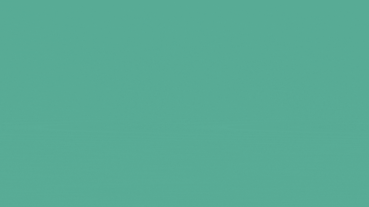 Bạch trà Mây ảnh 3