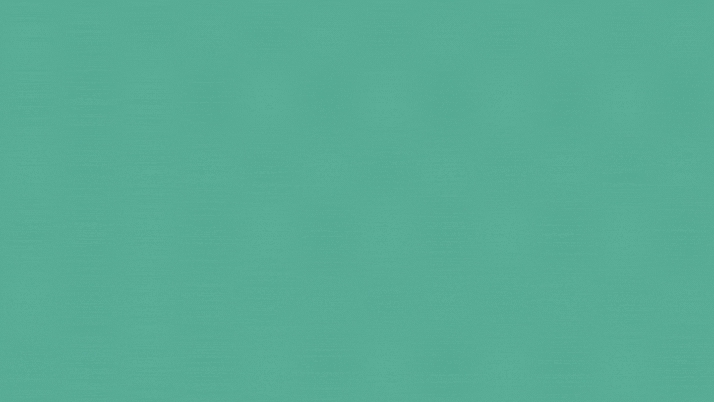 Bạch trà Mây ảnh 4