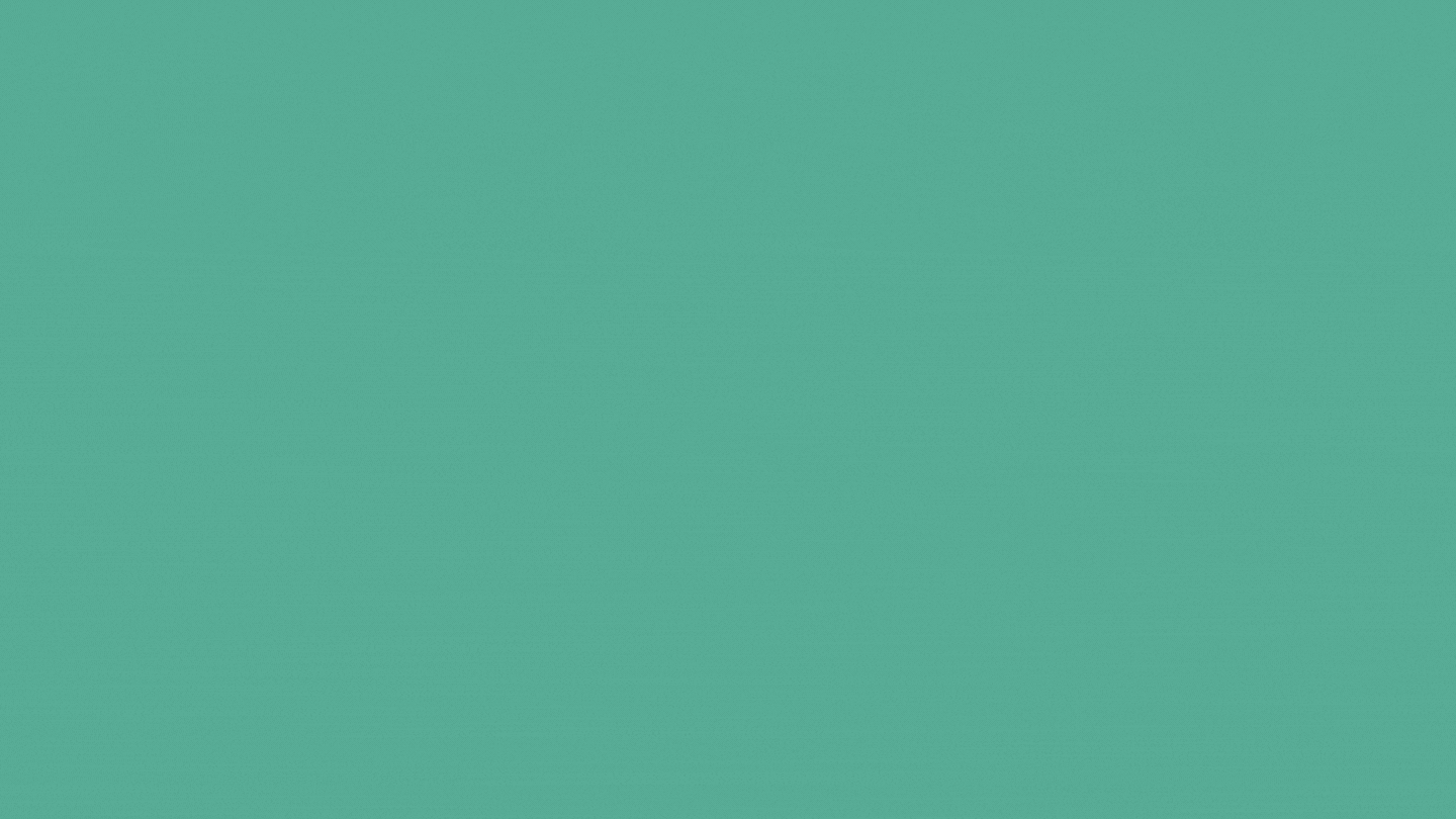 Bạch trà Mây ảnh 1