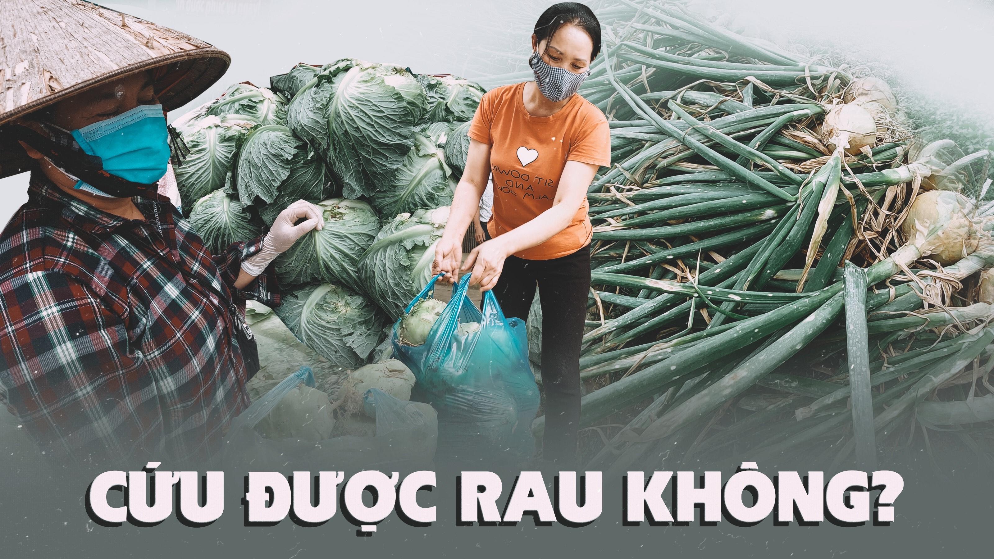 Cứu được rau không?