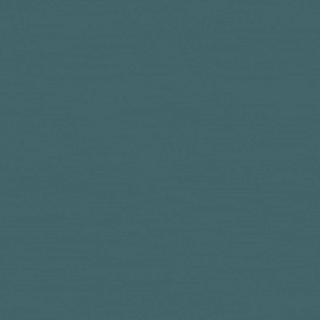 Phụ nữ khắp thế giới lên tiếng ảnh 6