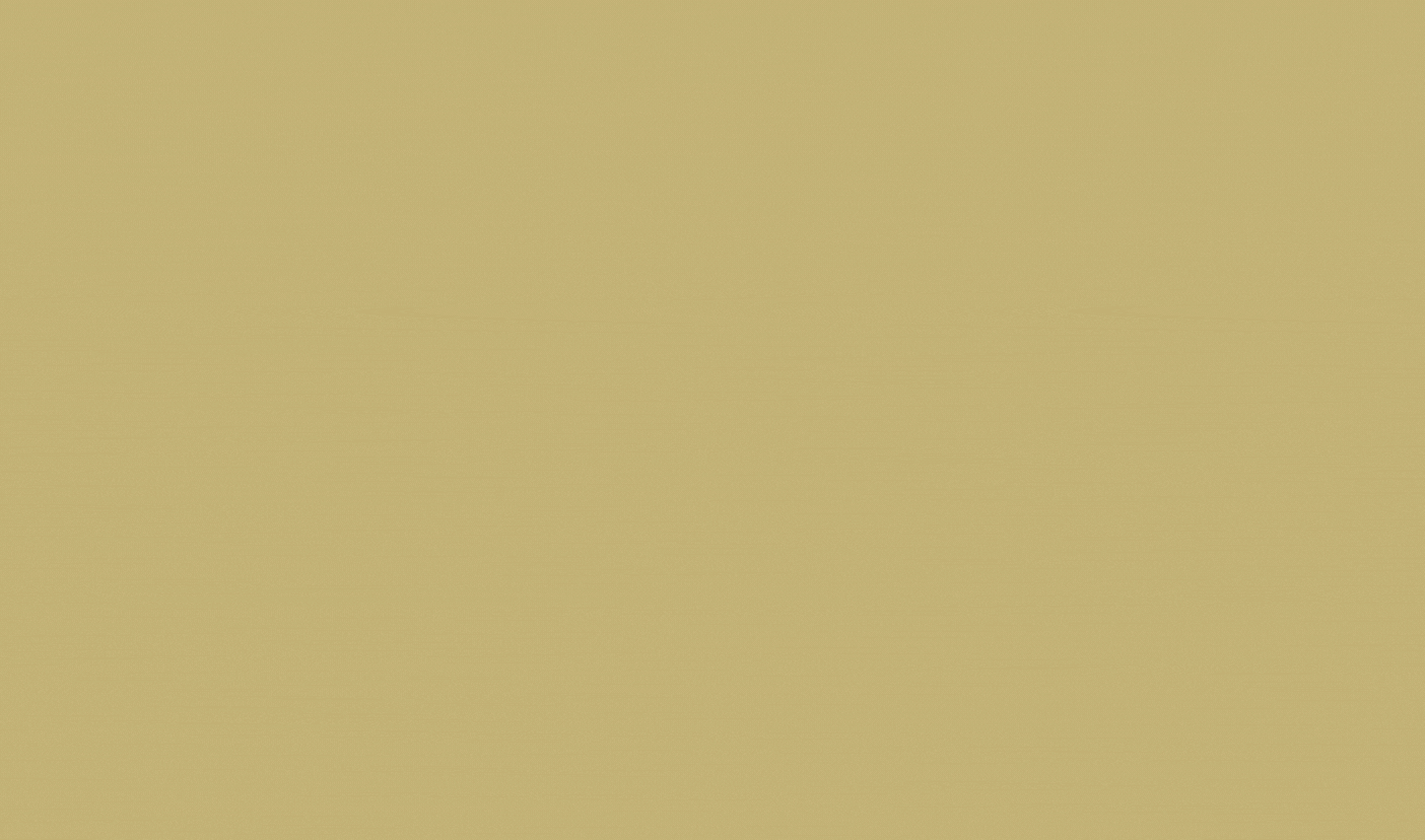 Bách Nguyễn - Kẻ du ca si tình âm nhạc ảnh 4