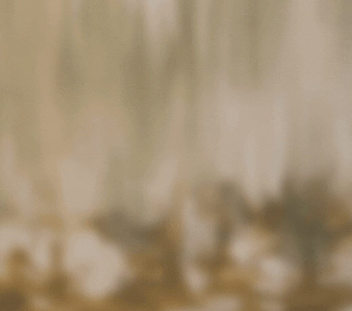 Họa sĩ Trần Nhật Thăng nói về ‘Miền Không’, sự nhạy cảm của trẻ con và gia tài người bố ảnh 7