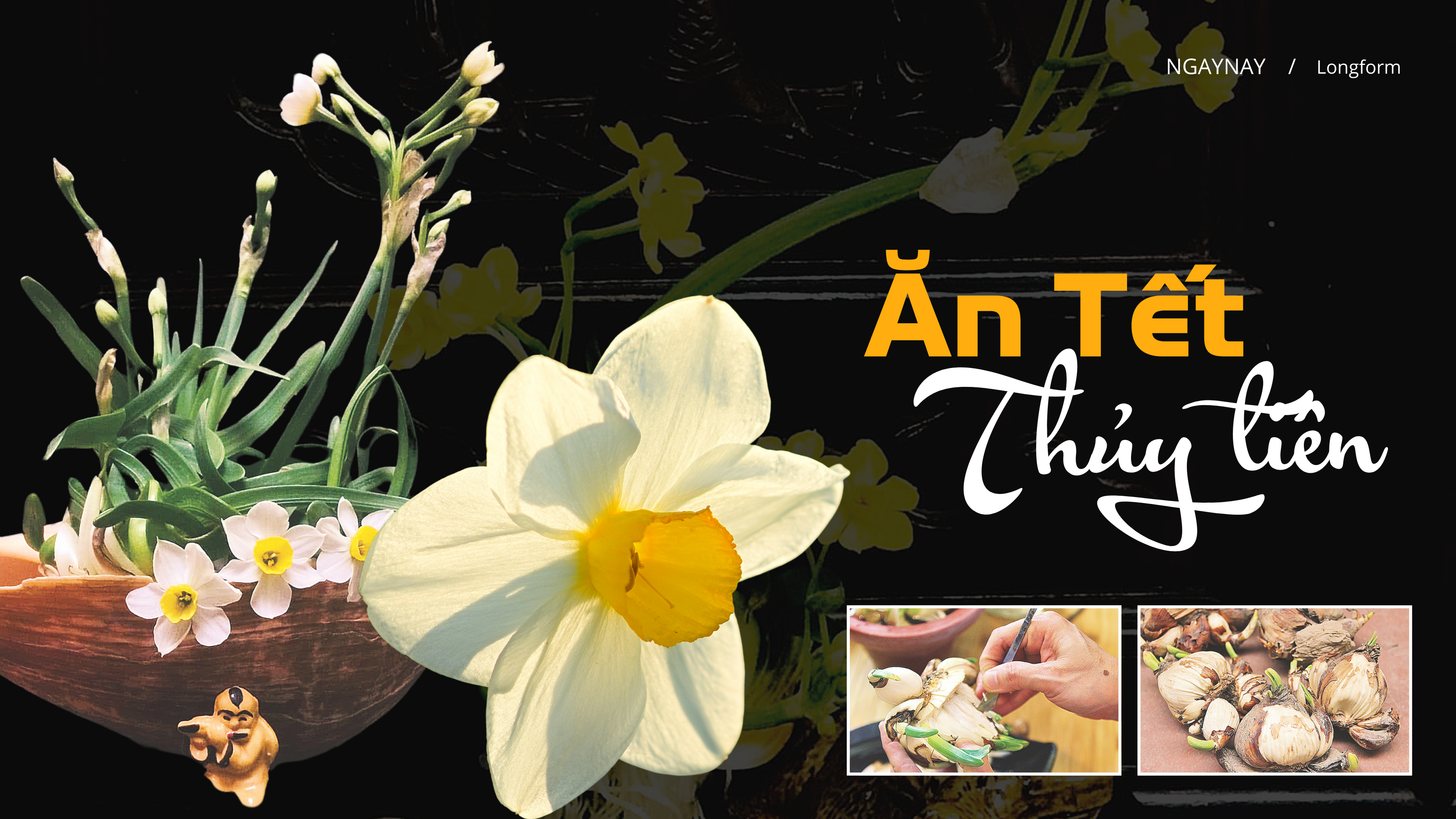 Ăn Tết thủy tiên