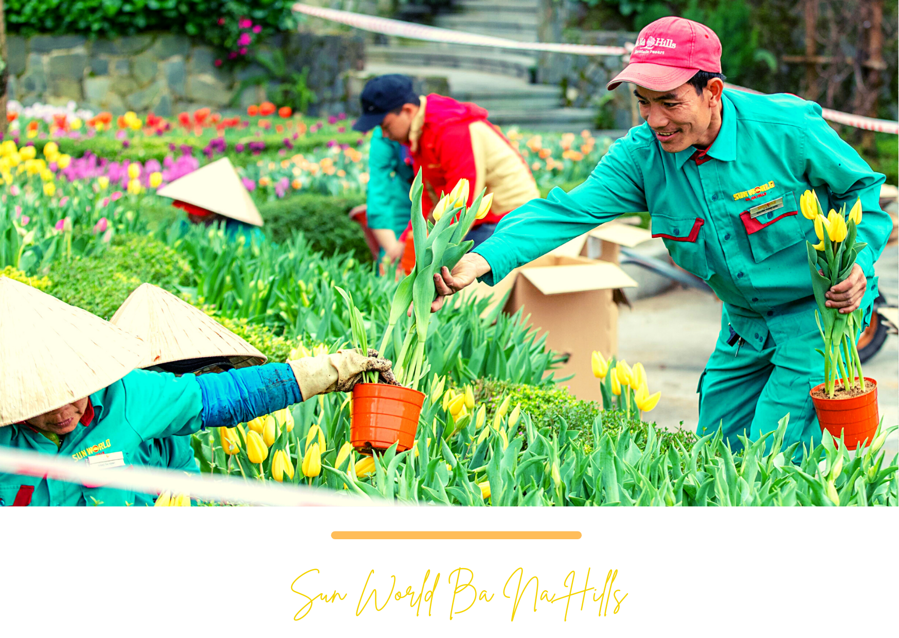 Sun Group - Top 10 thương hiệu xuất sắc Việt Nam hay bản lĩnh một 'sếu đầu đàn' trong đại dịch ảnh 8