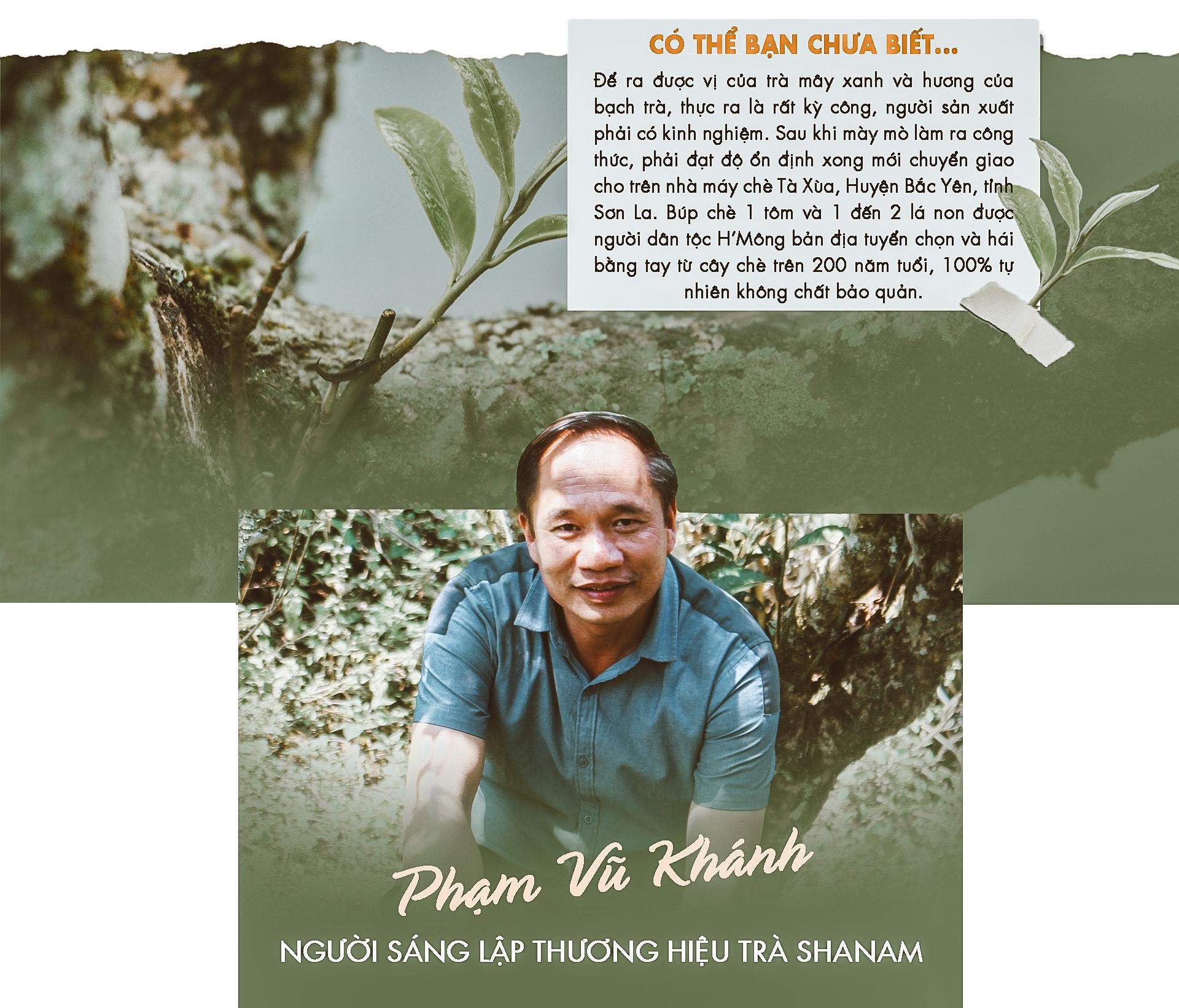 Xuân - Thu trong một tách trà ảnh 8