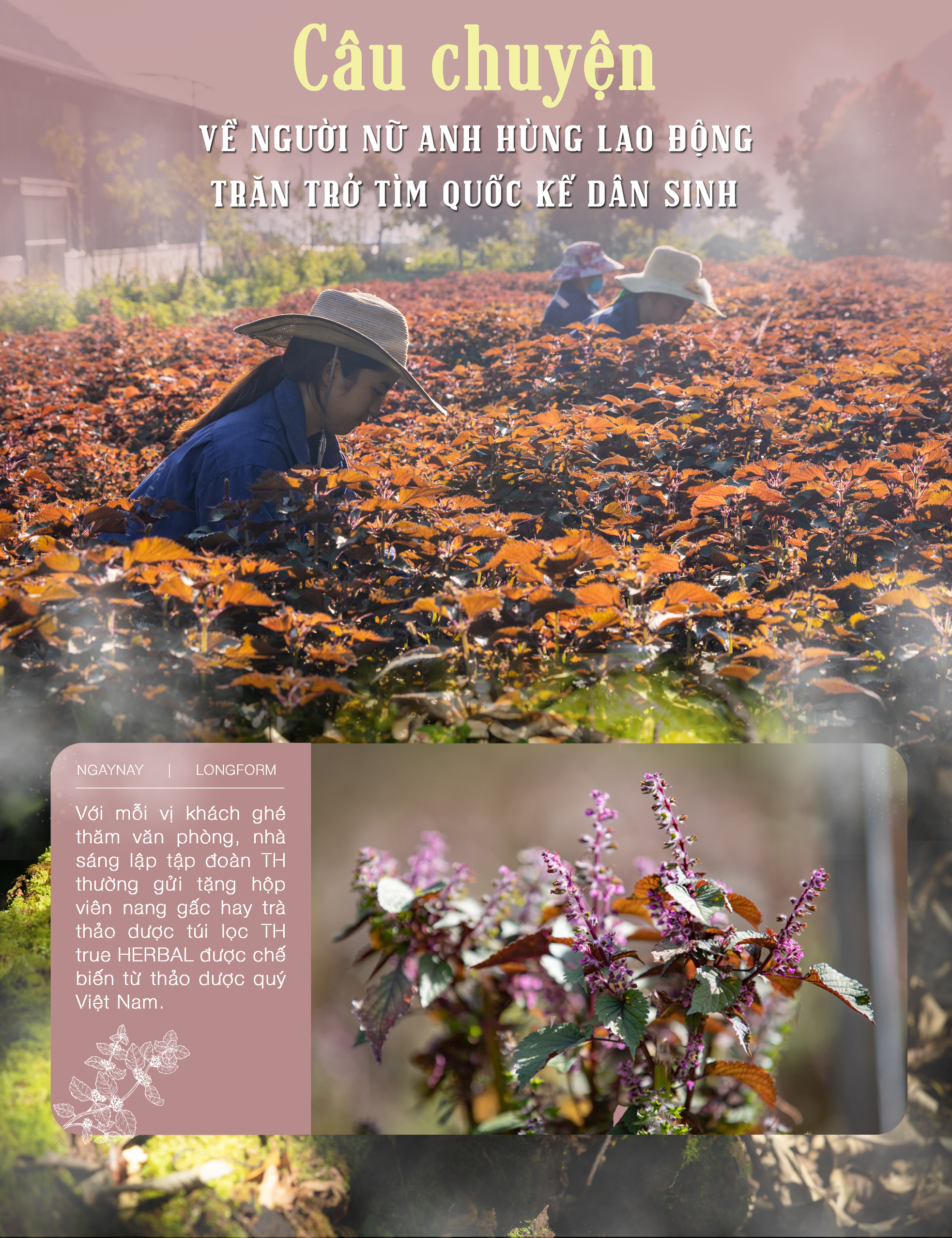 Câu chuyện về người nữ anh hùng lao động trăn trở tìm quốc kế dân sinh ảnh 1