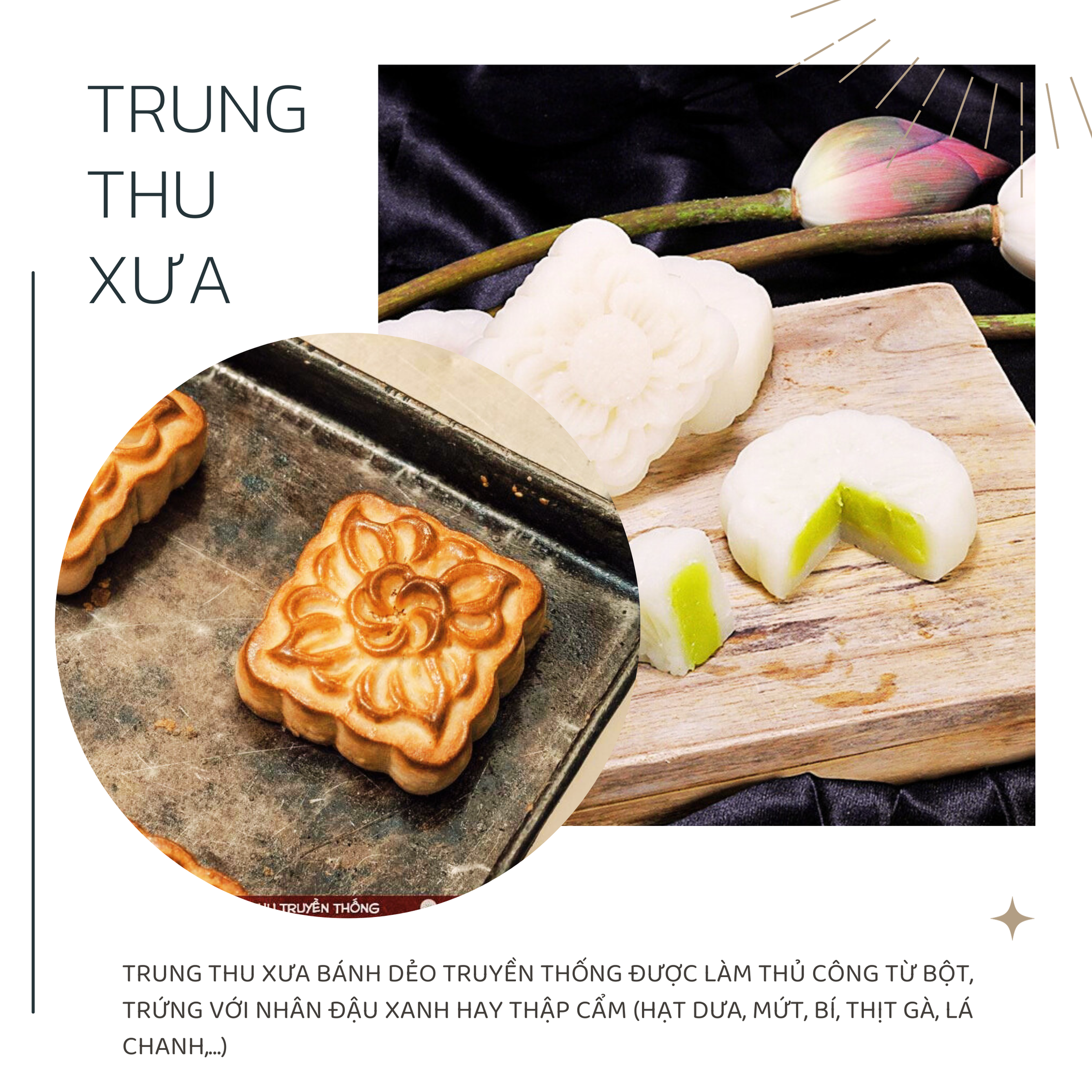 Đi qua những đêm trăng ảnh 1