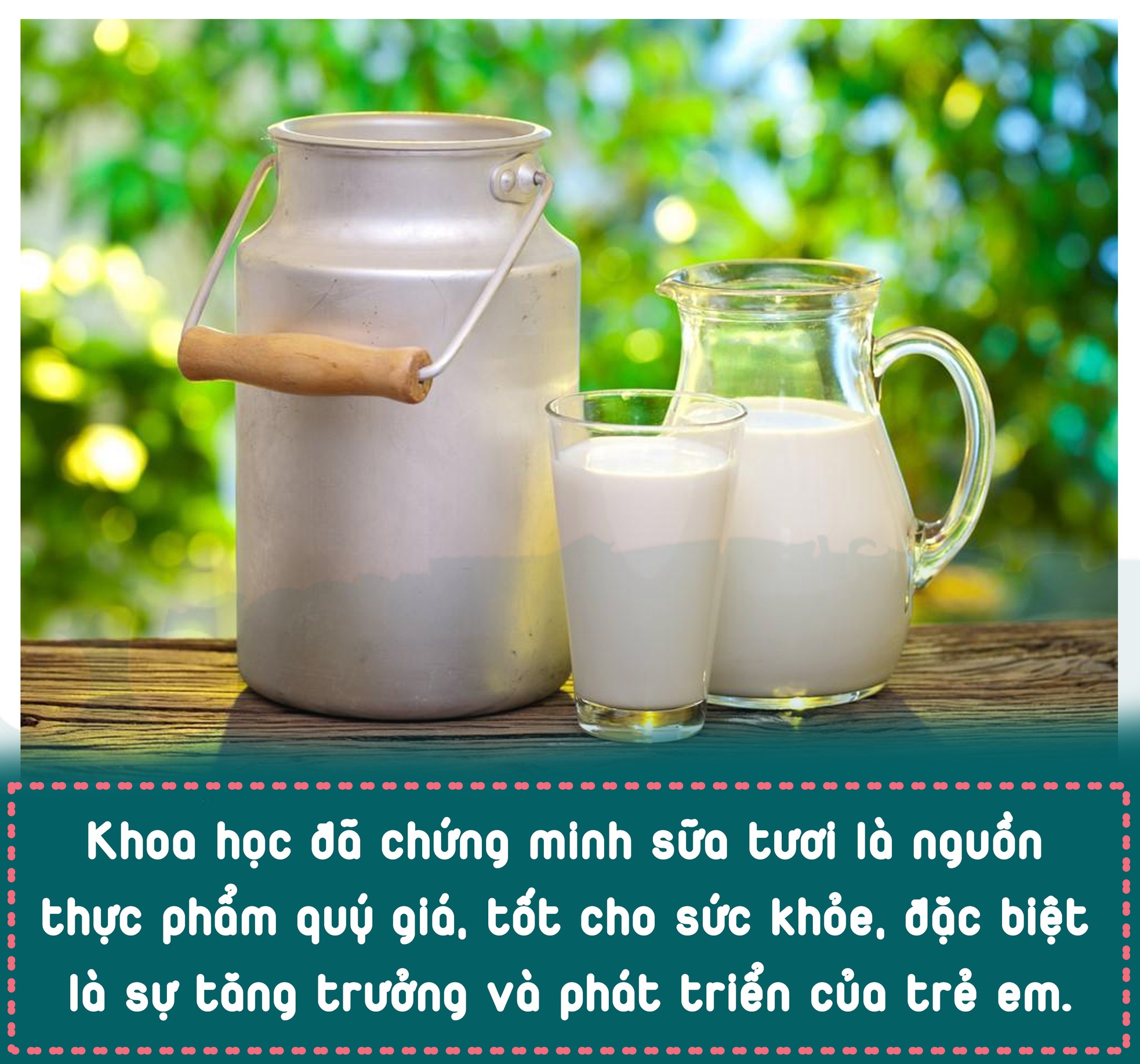 Sữa học đường hiểu sao cho đúng? ảnh 7