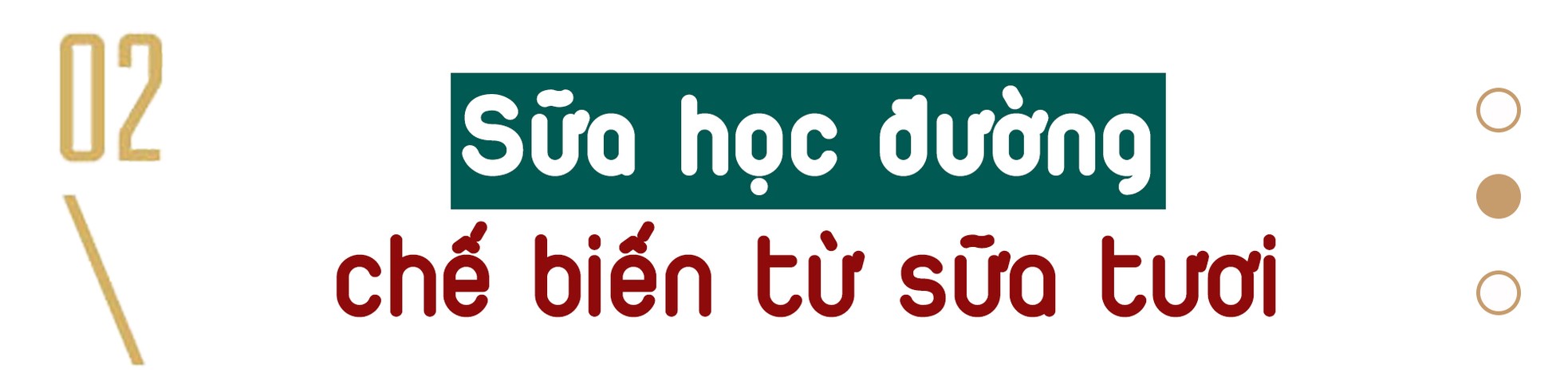 Sữa học đường hiểu sao cho đúng? ảnh 5