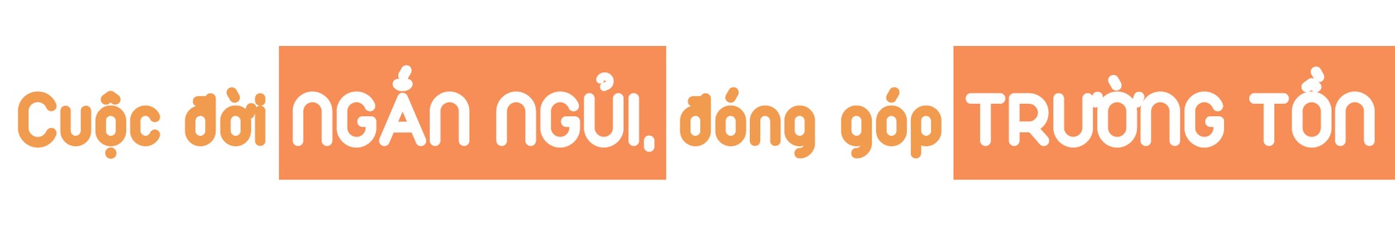 Ada Lovelace - Kỹ sư lập trình đầu tiên của nhân loại ảnh 9