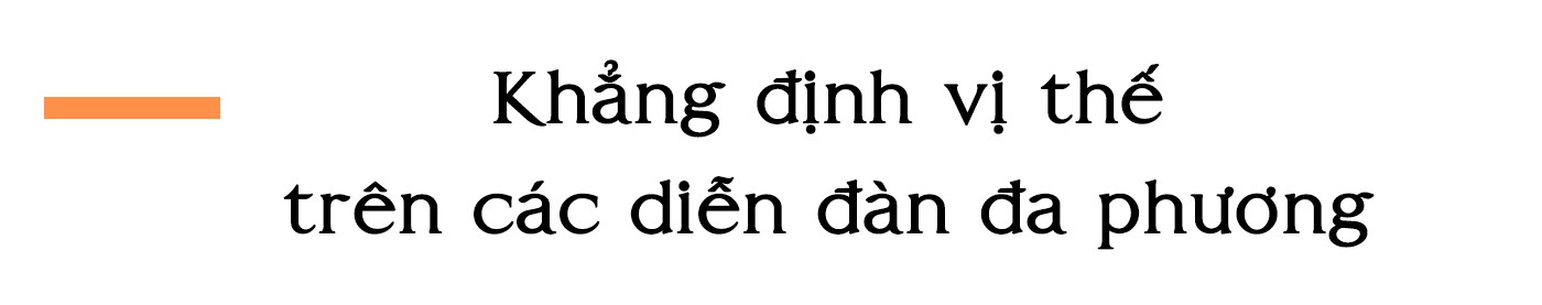 Đối ngoại Việt Nam: Một năm bận rộn với nhiều thành công ảnh 8