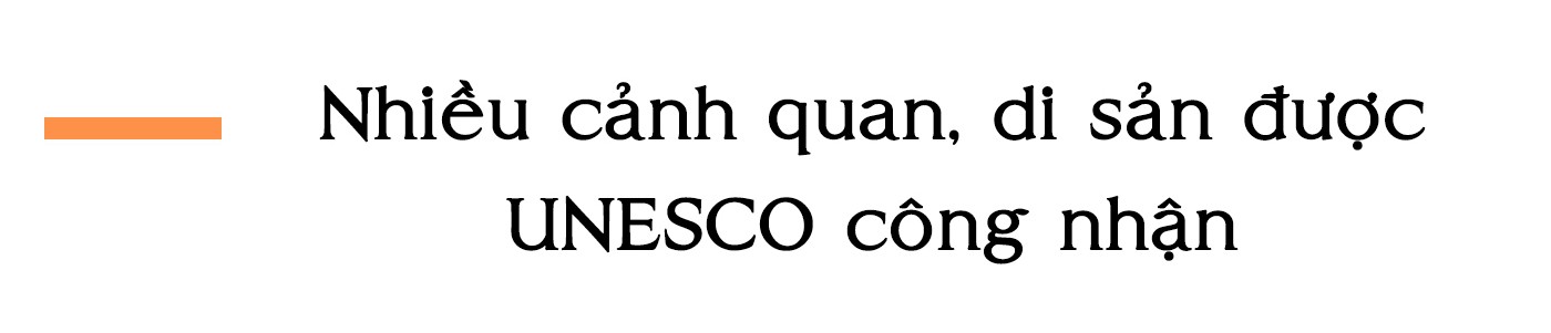Đối ngoại Việt Nam: Một năm bận rộn với nhiều thành công ảnh 14
