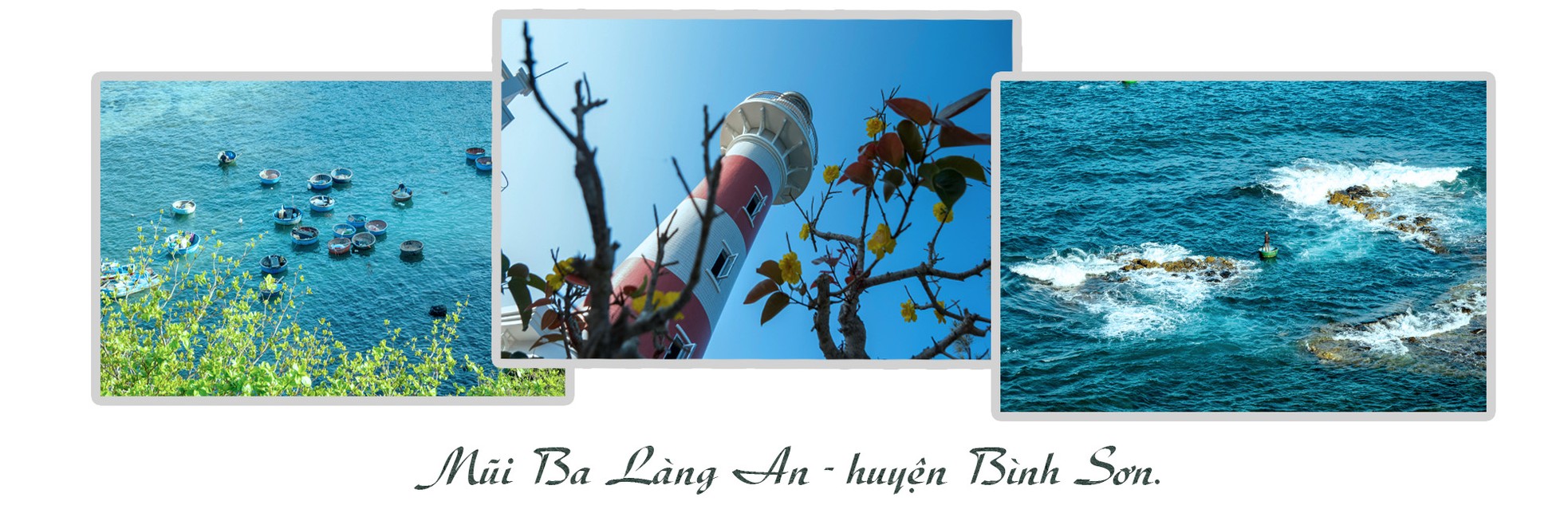 Phá sản Đề án Công viên địa chất toàn cầu Lý Sơn - Sa Huỳnh? ảnh 7