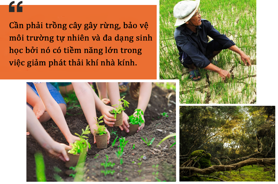 Cần một cuộc 'cách mạng' để đương đầu với biến đổi khí hậu ảnh 8