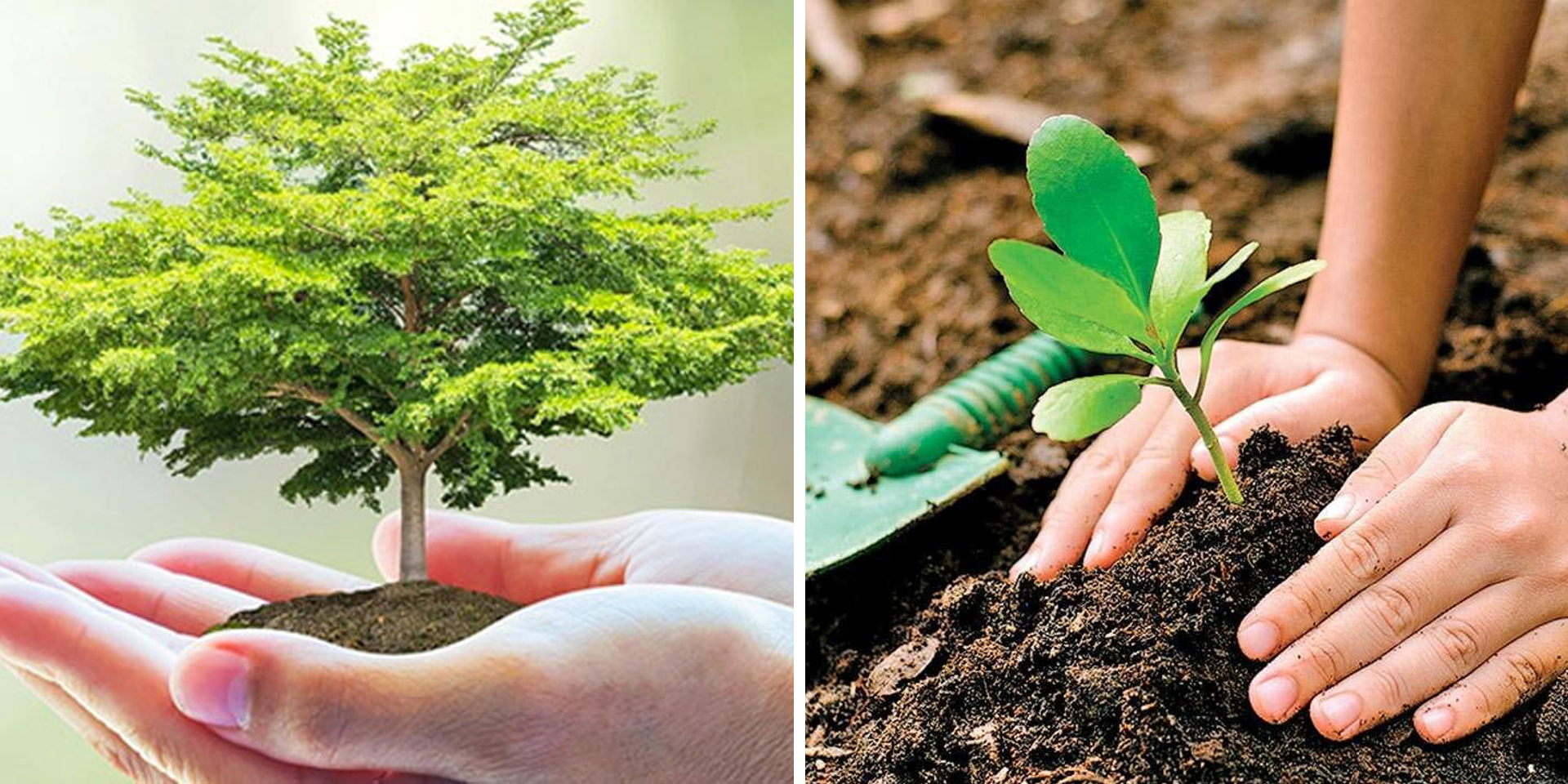 Cần một cuộc 'cách mạng' để đương đầu với biến đổi khí hậu ảnh 9