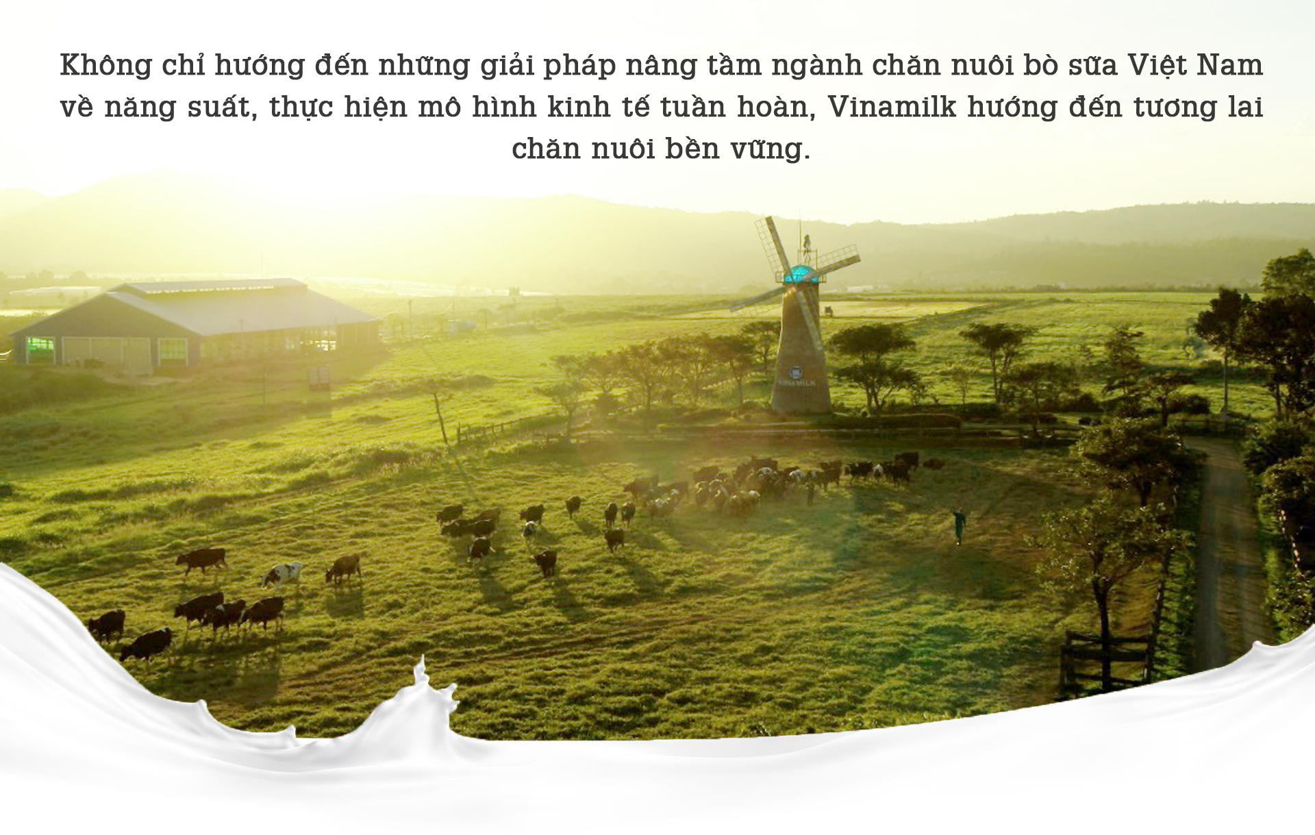 ‘Kinh tế tuần hoàn’ tạo giá trị bền vững cho doanh nghiệp ngành sữa ảnh 7