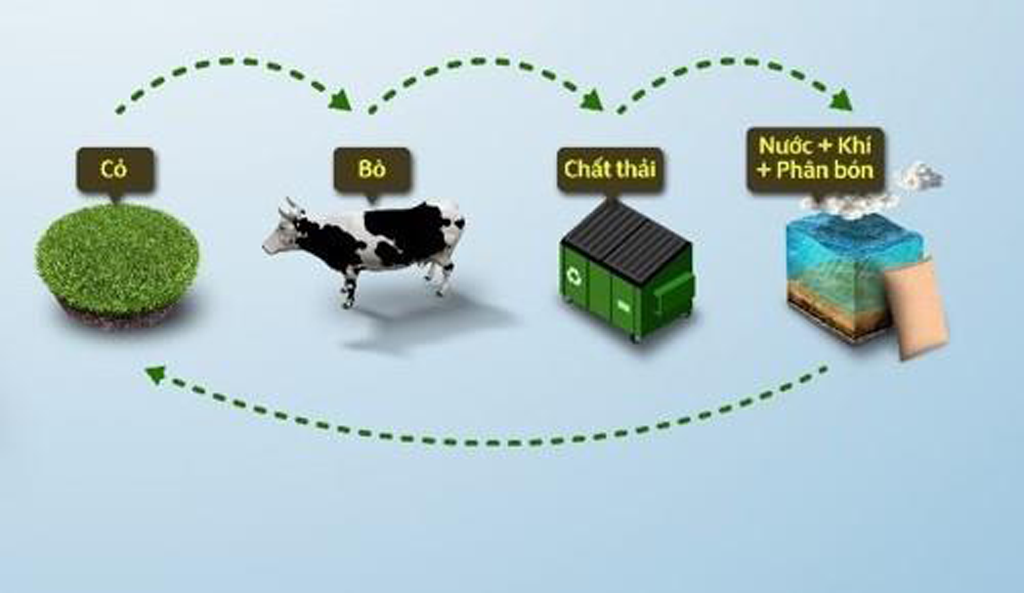 ‘Kinh tế tuần hoàn’ tạo giá trị bền vững cho doanh nghiệp ngành sữa ảnh 9
