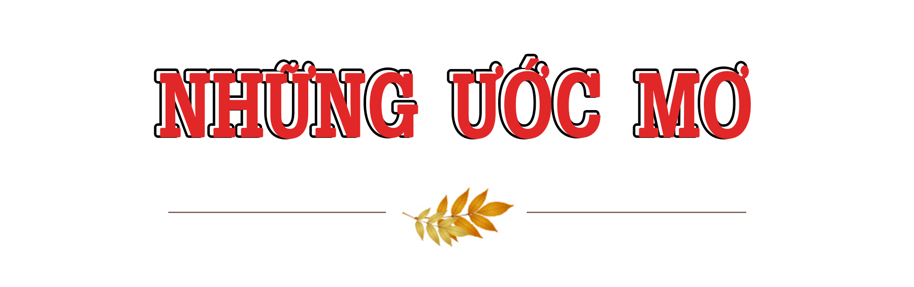 Ước mơ lặng câm ảnh 4