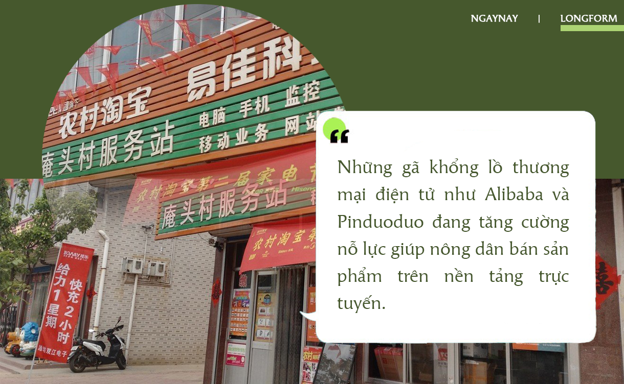 Nông dân đổi đời nhờ công nghệ ảnh 7