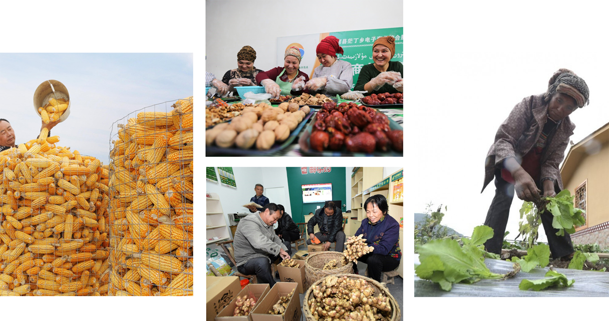 Nông dân đổi đời nhờ công nghệ ảnh 3