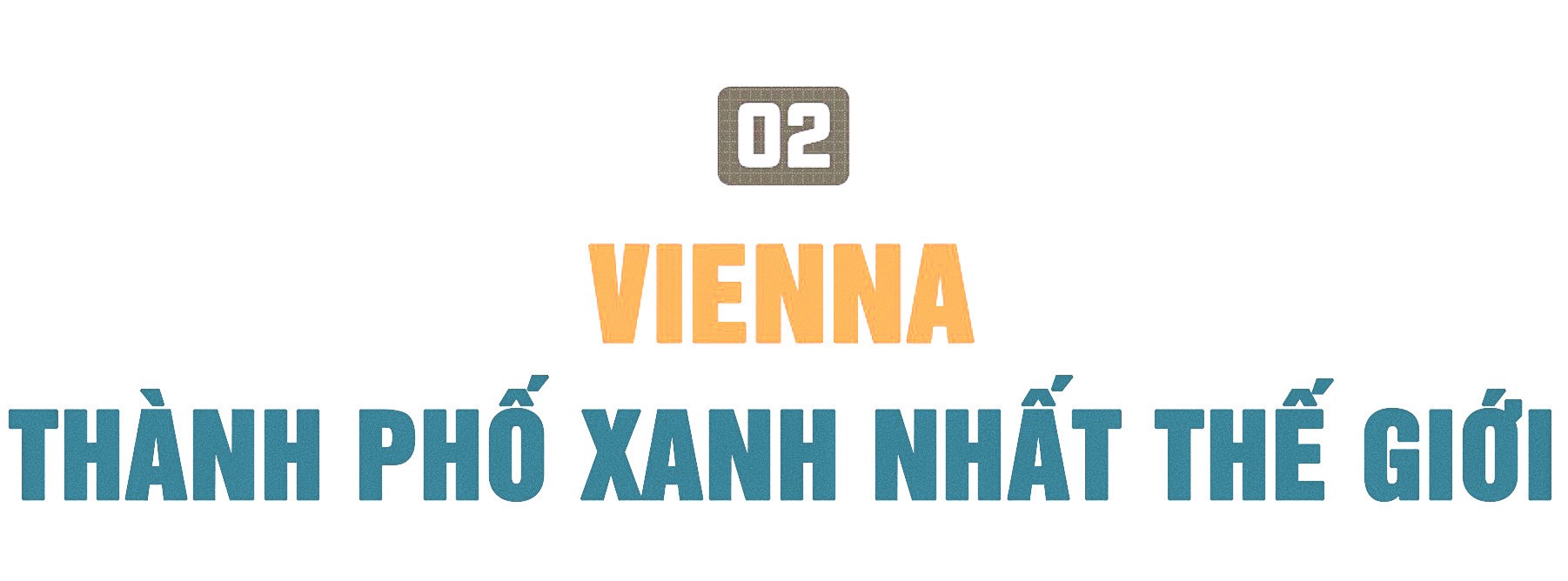 Rừng trong phố ảnh 3