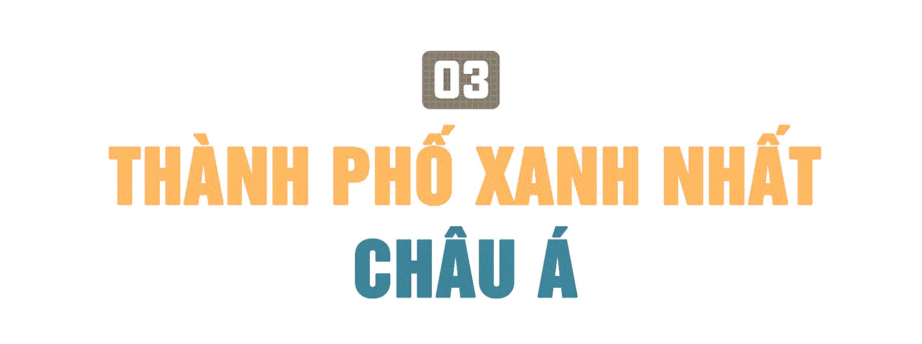 Rừng trong phố ảnh 5