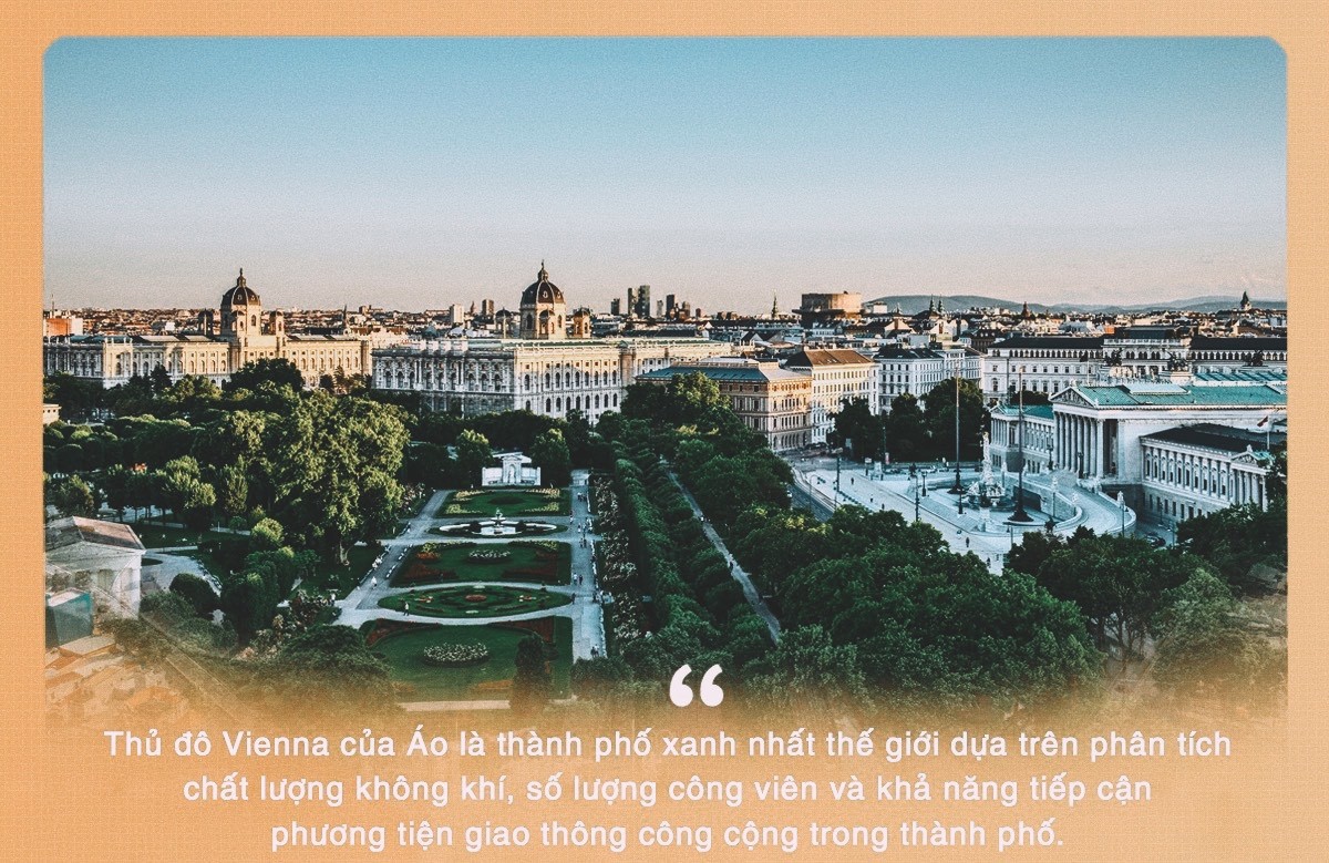 Rừng trong phố ảnh 4