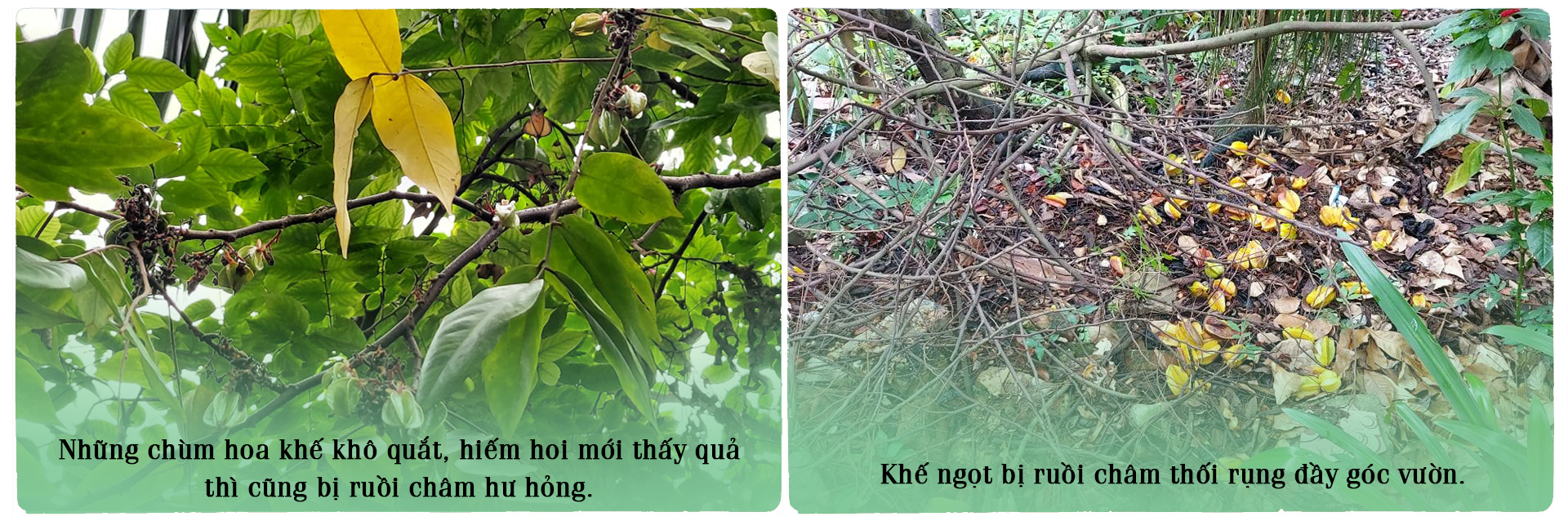 Những mảng tối dưới chân núi rác ảnh 9